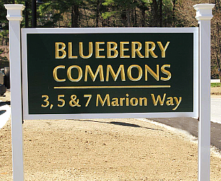 Blueberry Commons