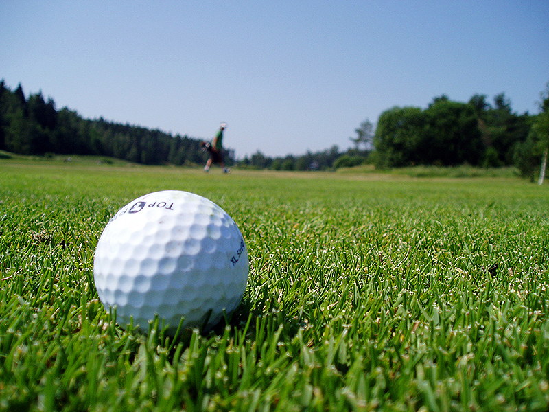 Golf FORE Life and Senior Fitness Webinar