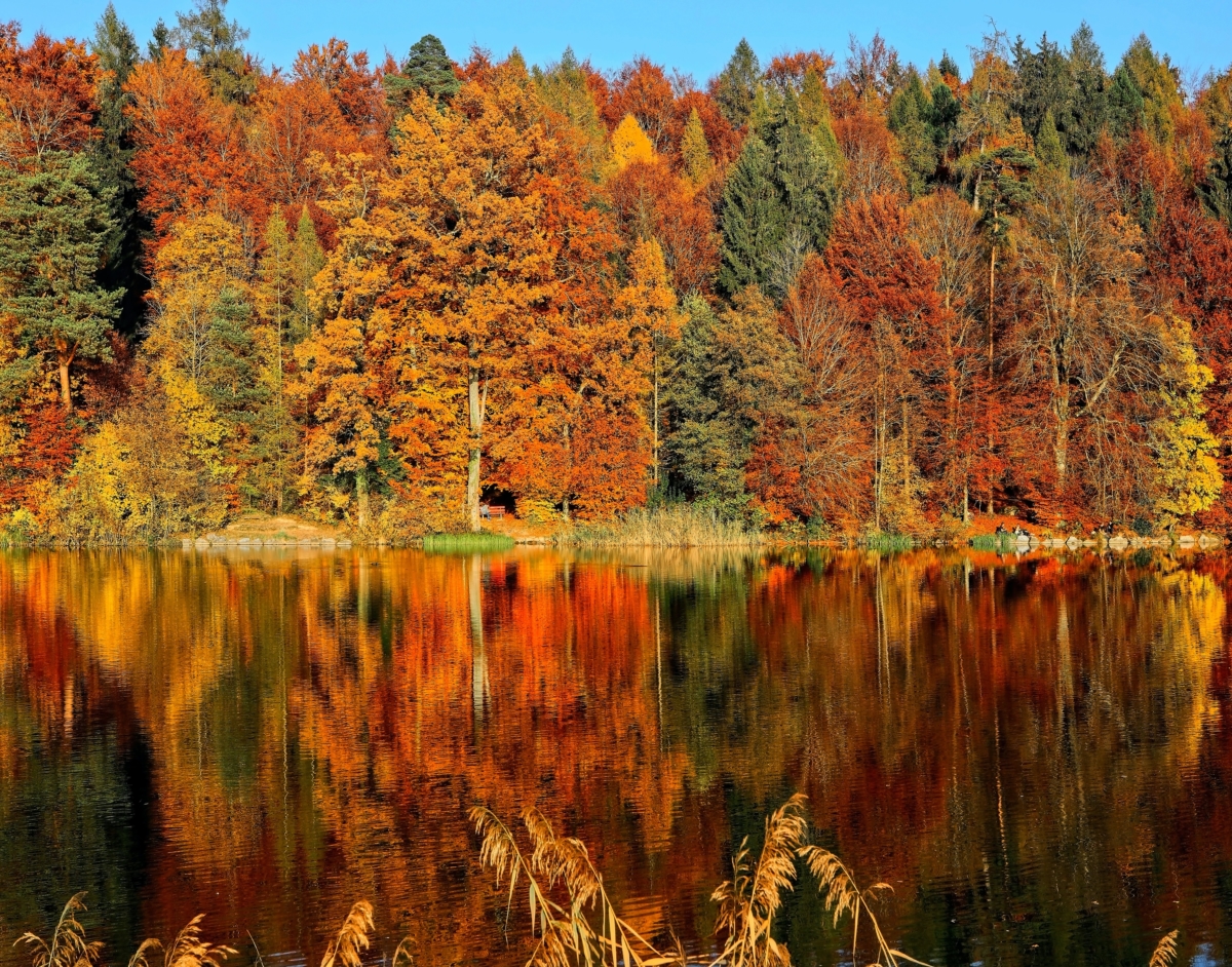 best place in maine to visit for fall