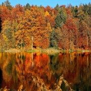 best places to see foliage in maine
