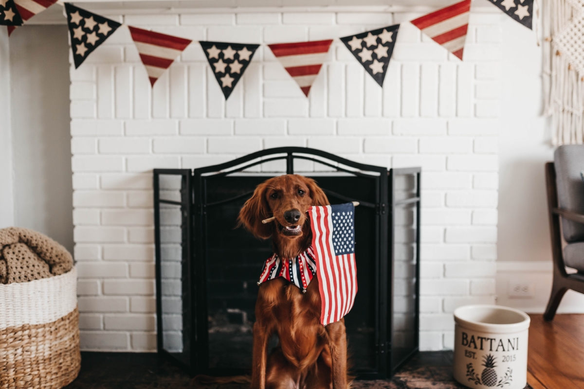 4th of July activities for adults