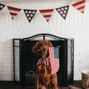 4th of July activities for adults