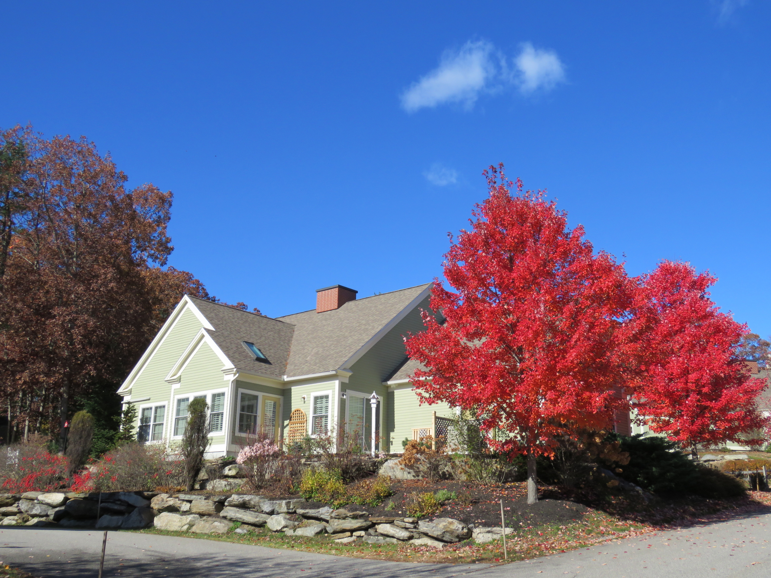 Whipple Farm Cottage in Fall