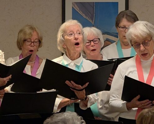 social clubs for retirees